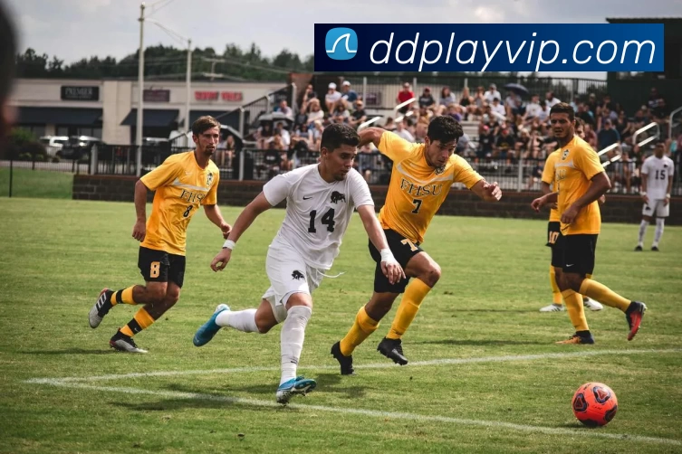 鼎点娱乐官网品牌故事