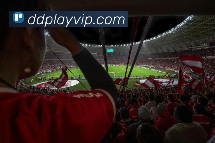 鼎点娱乐官网服务体系