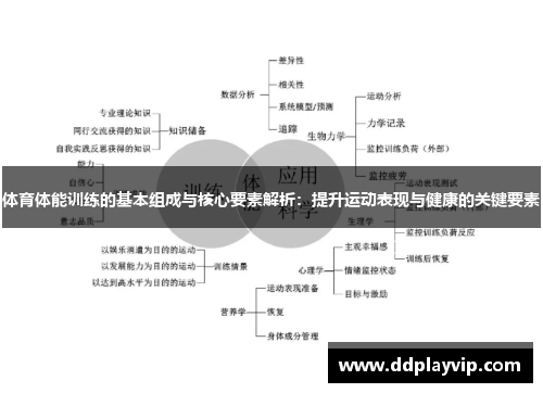 体育体能训练的基本组成与核心要素解析：提升运动表现与健康的关键要素